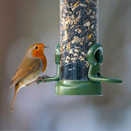 Feeding birds in the summer.