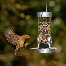 Autumn wild bird food