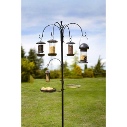 New bird feeding station