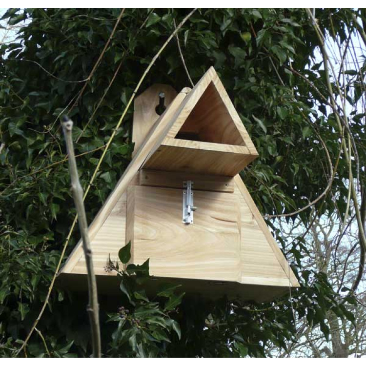 Little Owl Box