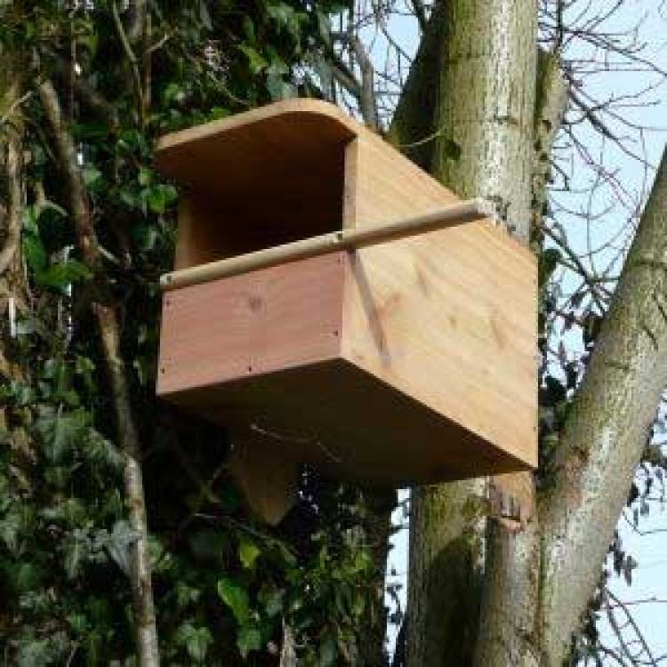 Kestrel nest box