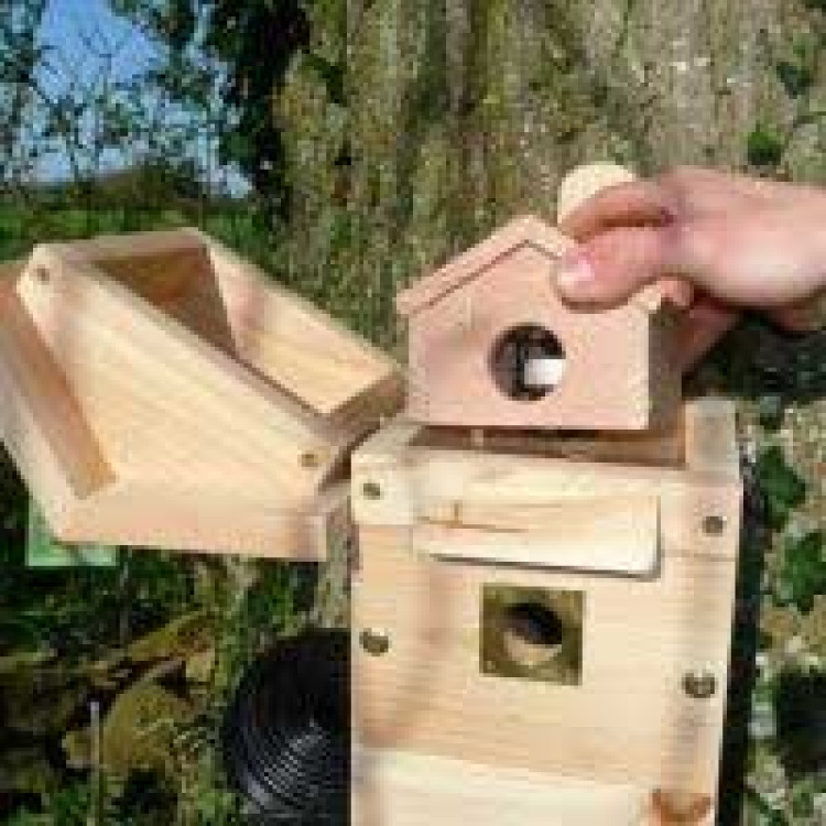 Colour camera multi nest box