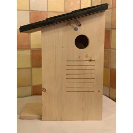 New, Red Squirrel box