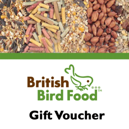 Gift Voucher