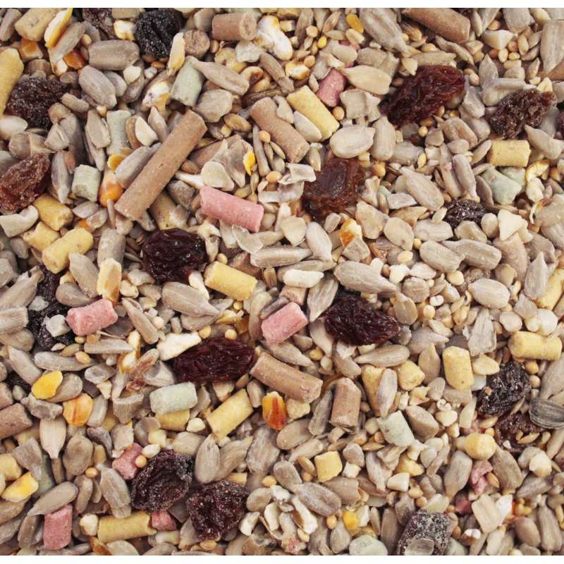 bulk bird seed suppliers