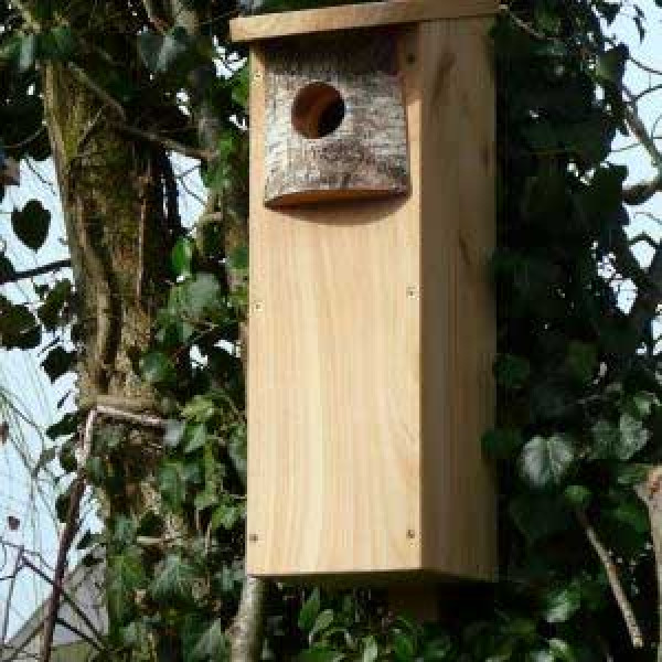 Woodpecker nest box - British Wild Bird Food and Habitat Suppliers